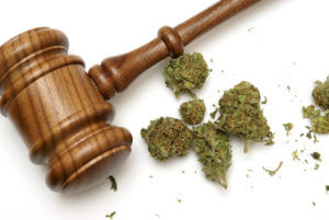 Mount Holly NJ Marijuana Lawyer